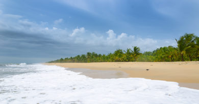Marari Beach in Mararikulam