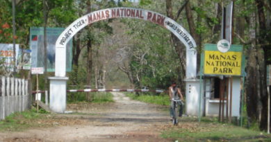 Manas Wildlife Sanctuary, Assam