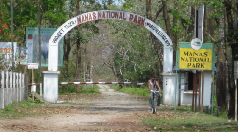 Manas Wildlife Sanctuary, Assam